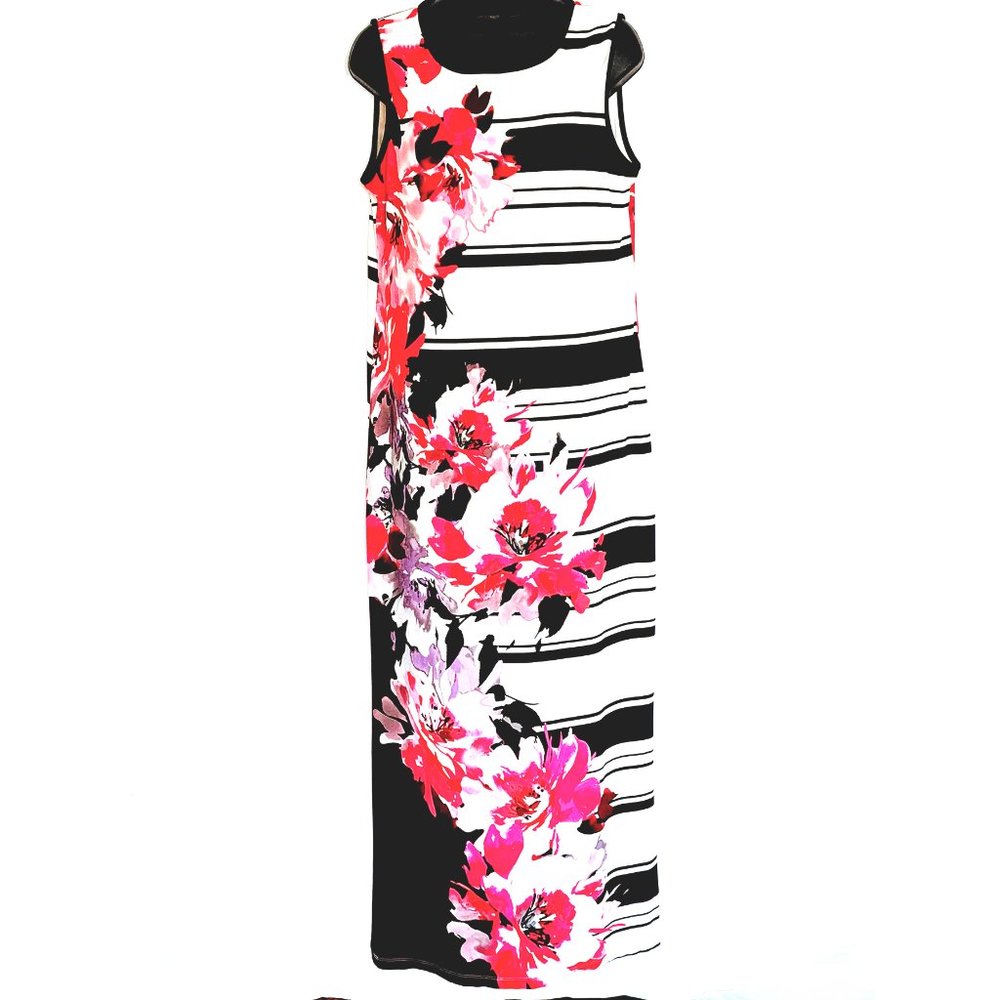 Sandra Darren Women's Sleeveless Floral Stripe Dress Size 10